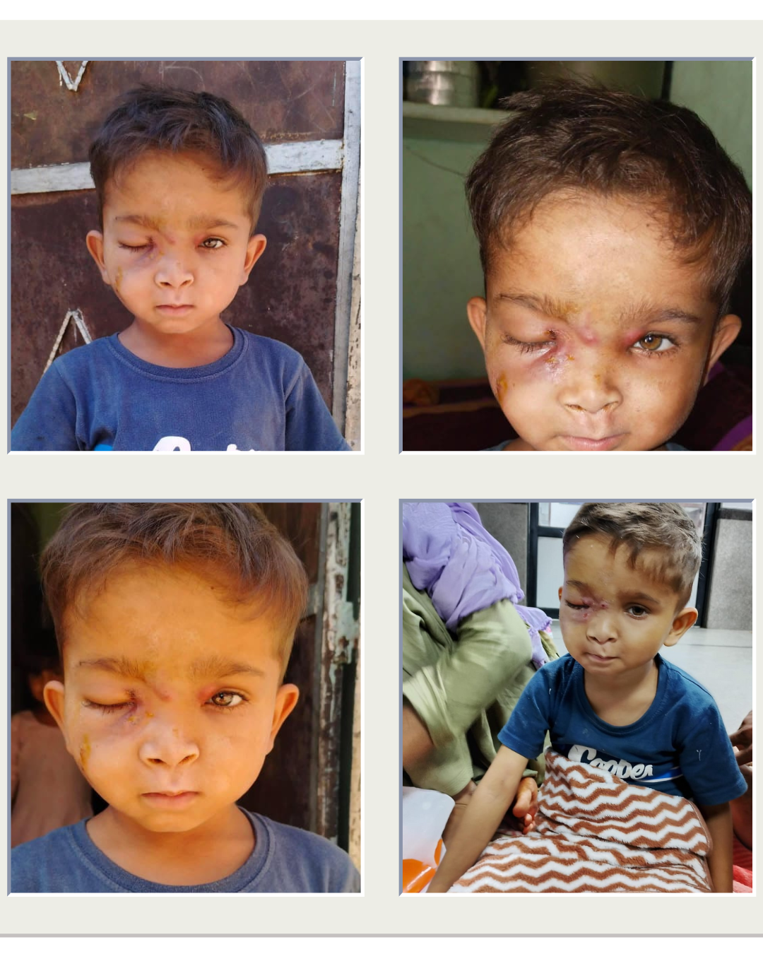 Shiksha Foundation of India